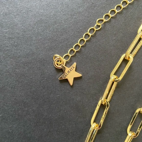 Dalmata Raggiente Gold Chain Necklace - Picture 4 of 5